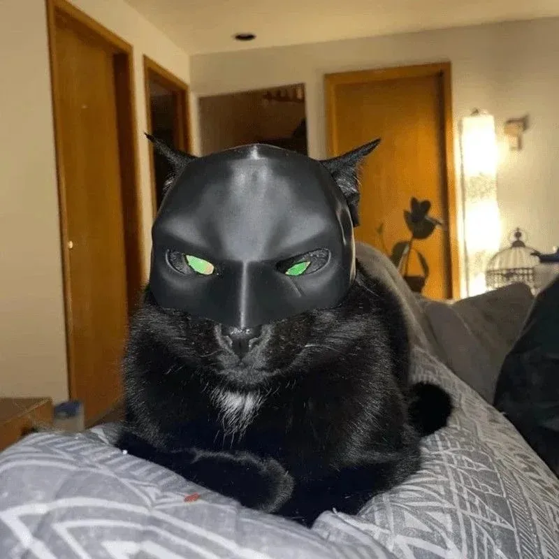 3D Printing Foto - Máscara de Gato Vingador Impressa em